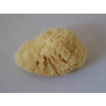 Natural Sponge - Size 3