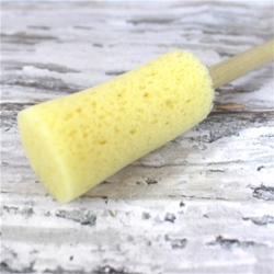 Lollipop Sponge